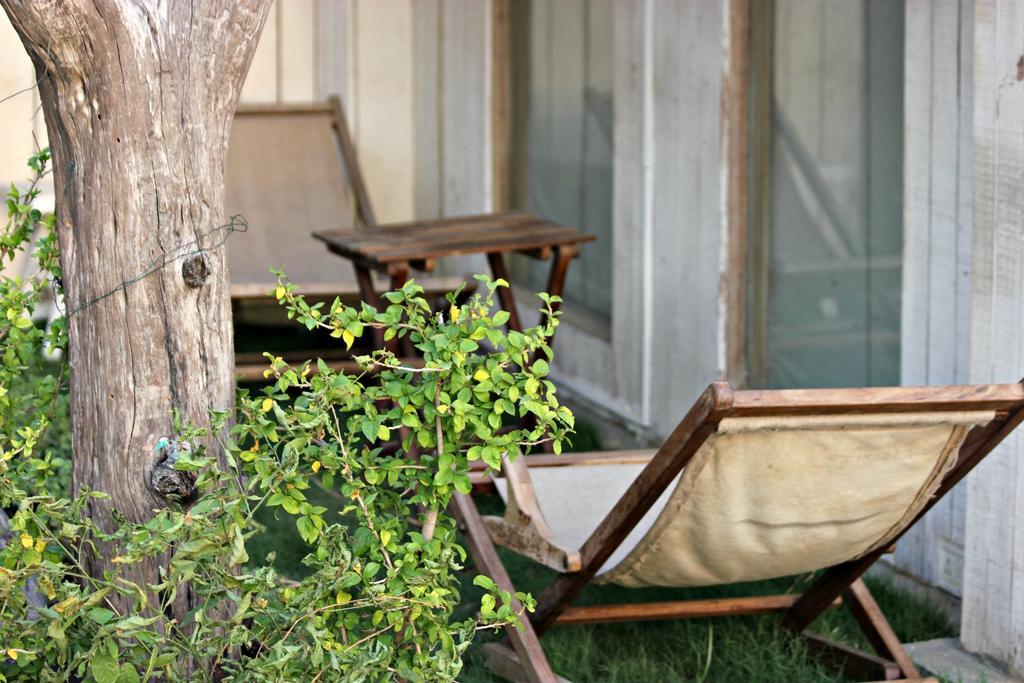 The Lazy Patio Séjour chez l'habitant *