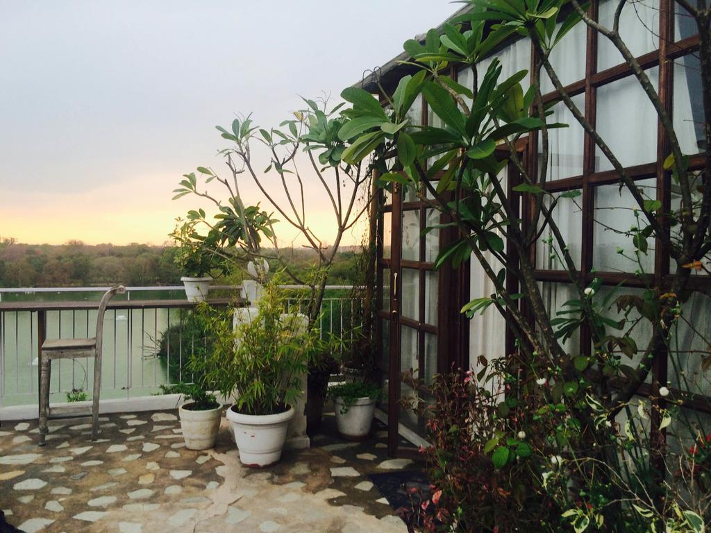 The Lazy Patio New Delhi