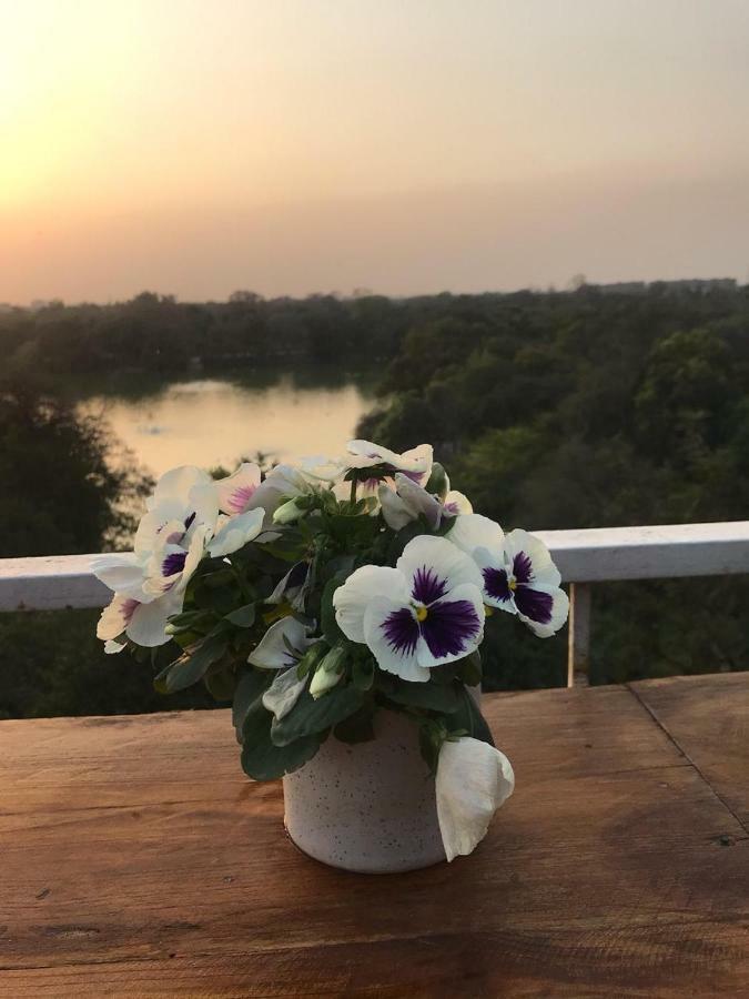 The Lazy Patio * New Delhi