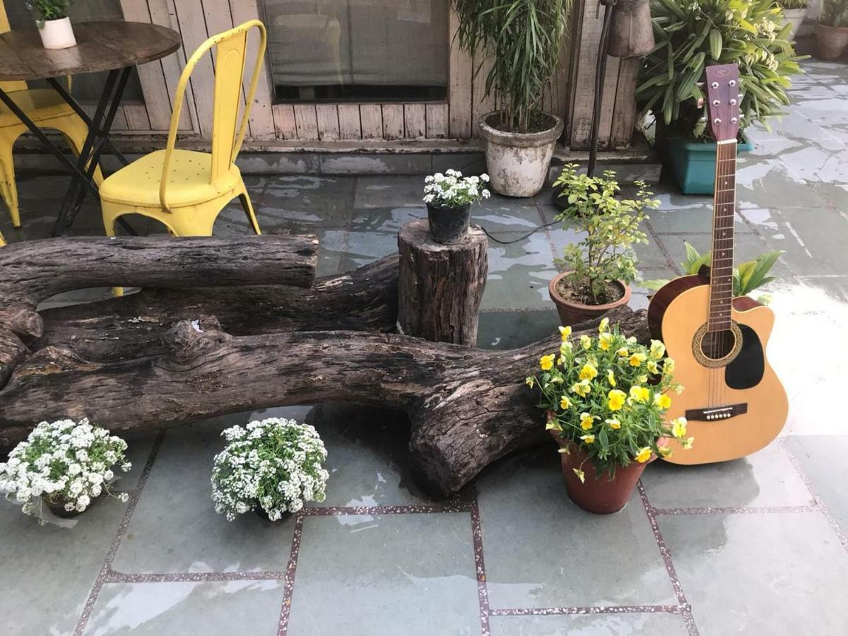 The Lazy Patio *