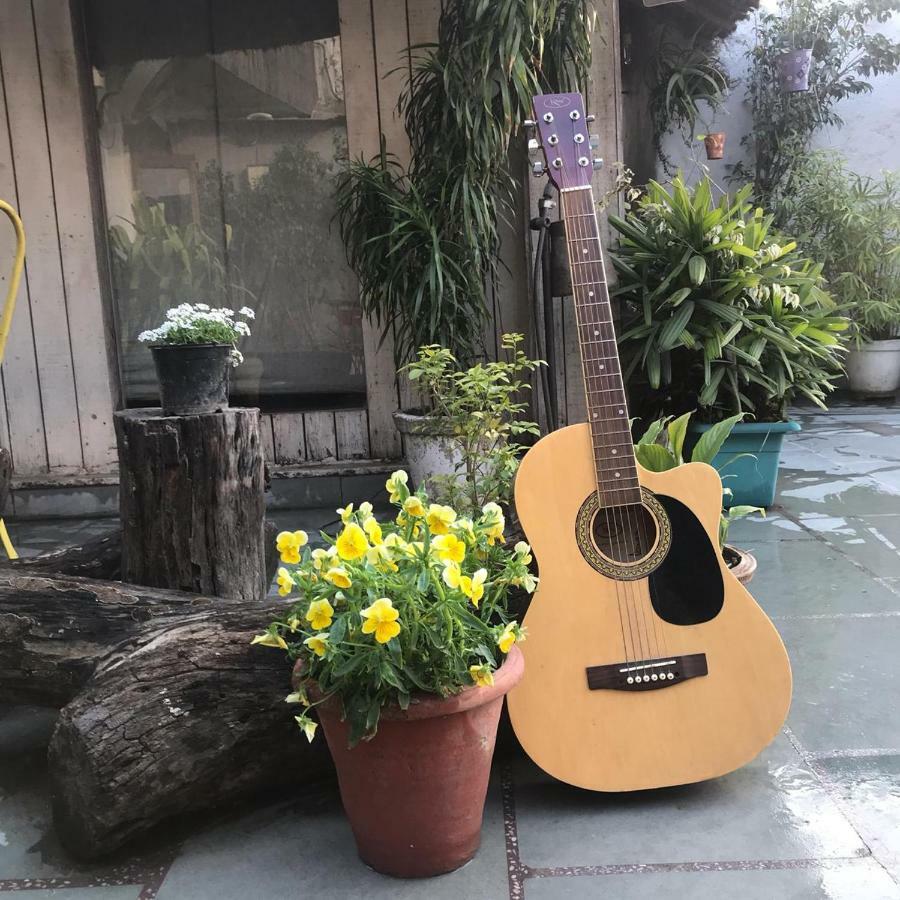 The Lazy Patio Homestay Homestay New Delhi
