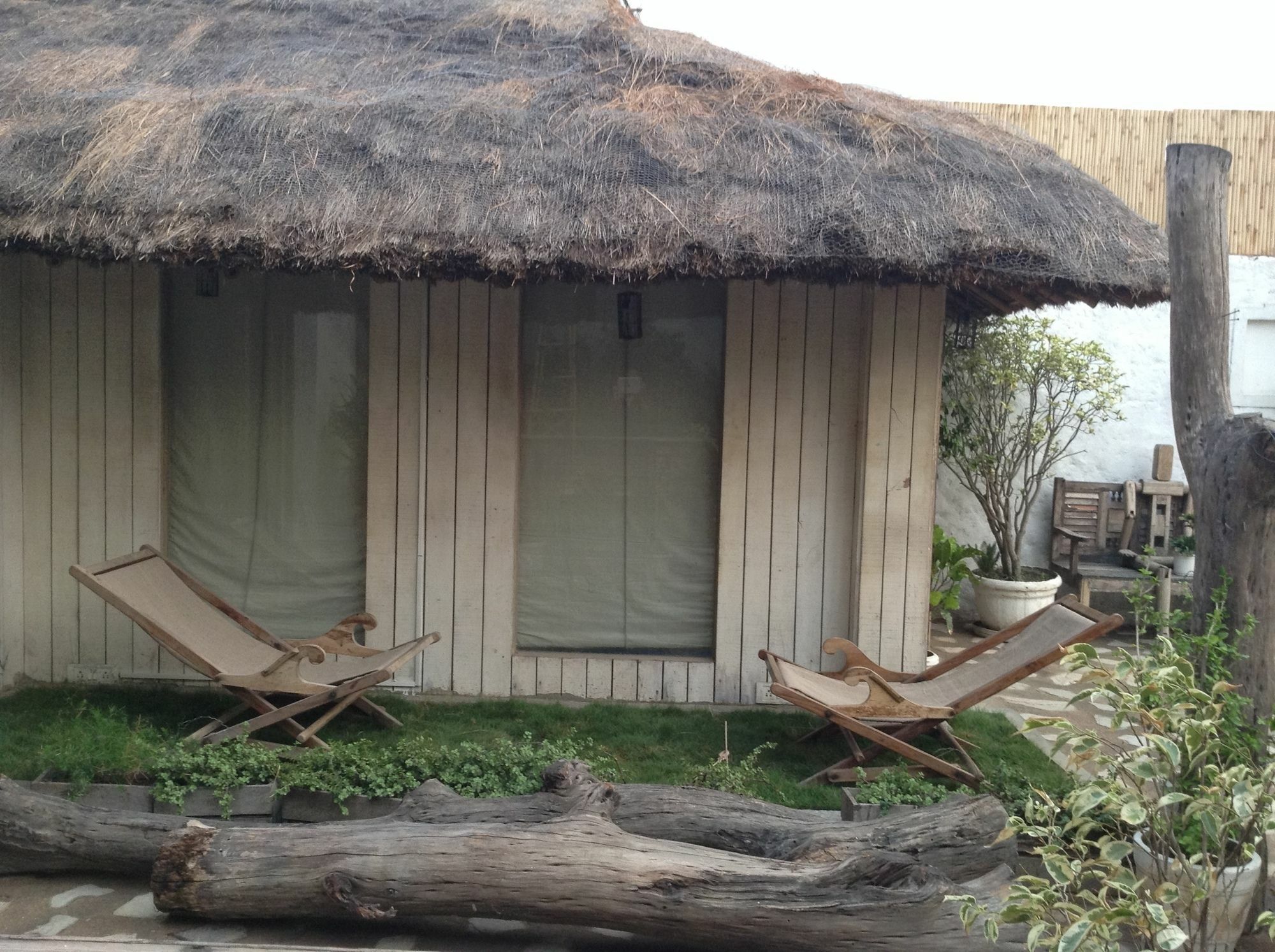 The Lazy Patio Homestay Homestay New Delhi
